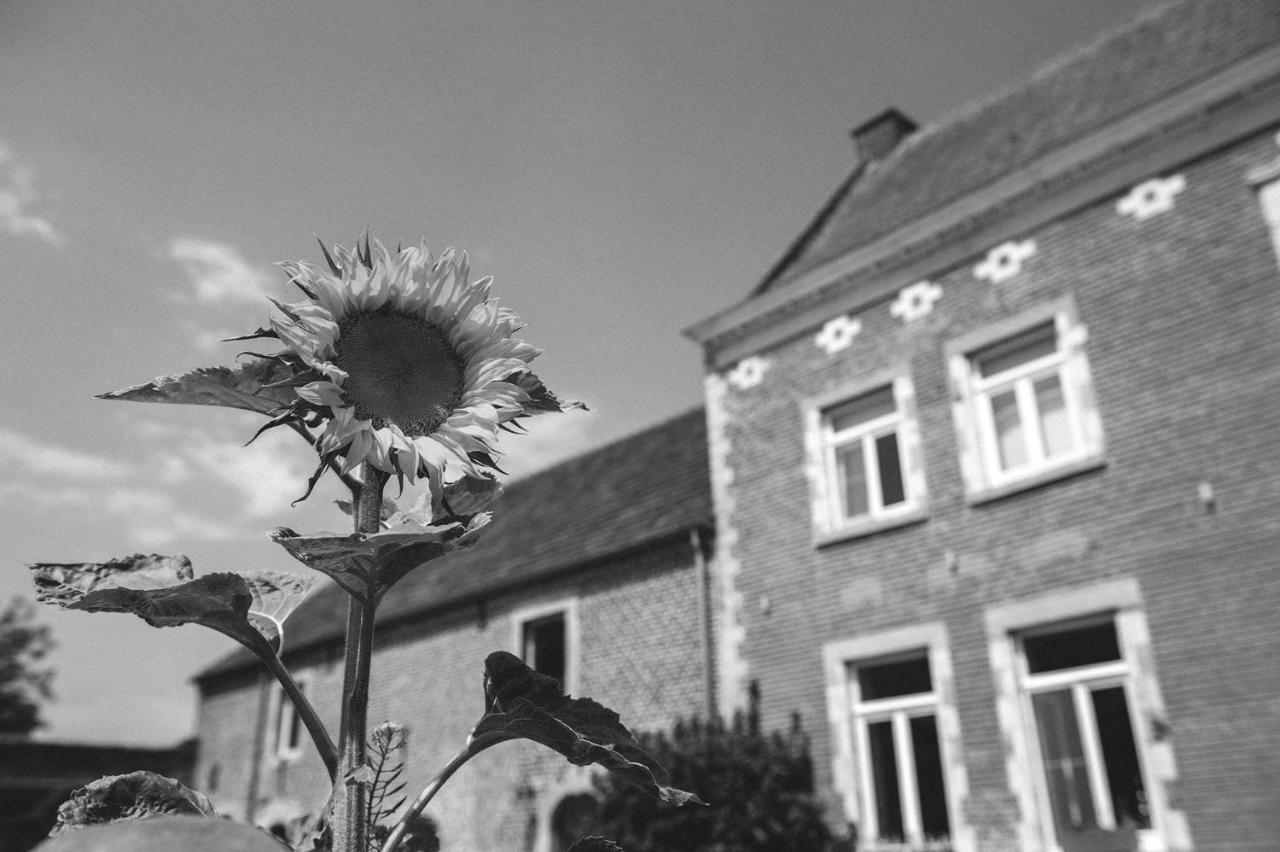 B&B L'Epicurie Hoegaarden Extérieur photo